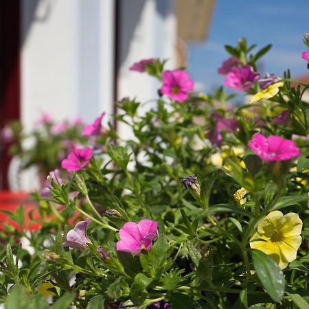 Casa Di Fiori Apartman Lefkáda Kültér fotó